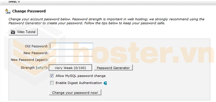 Nhập mật khẩu cPanel, hosting hải phòng, website hải phòng