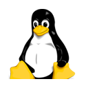 Linux SSD Hosting