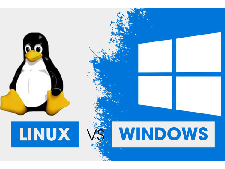 Hosting Window, Hosting Linux hay Unix