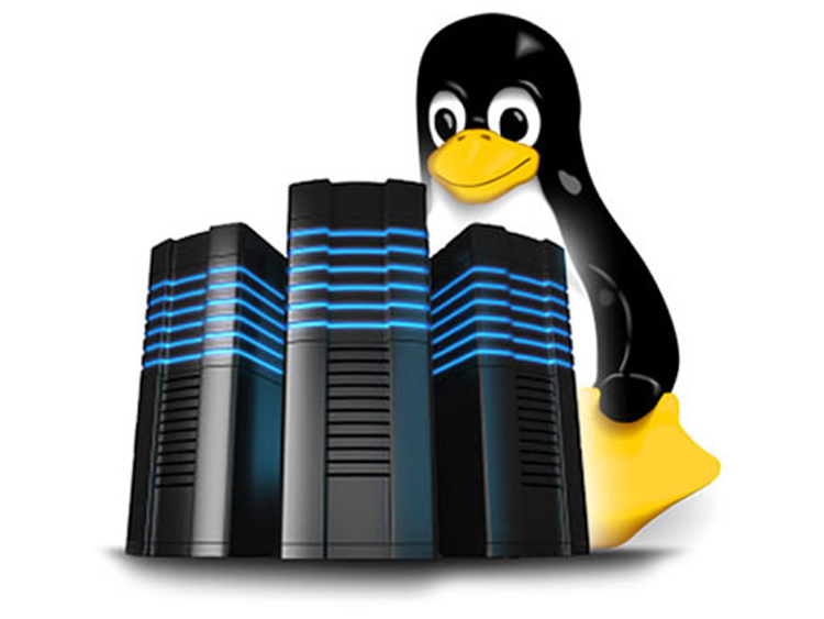 Linux HDD Hosting